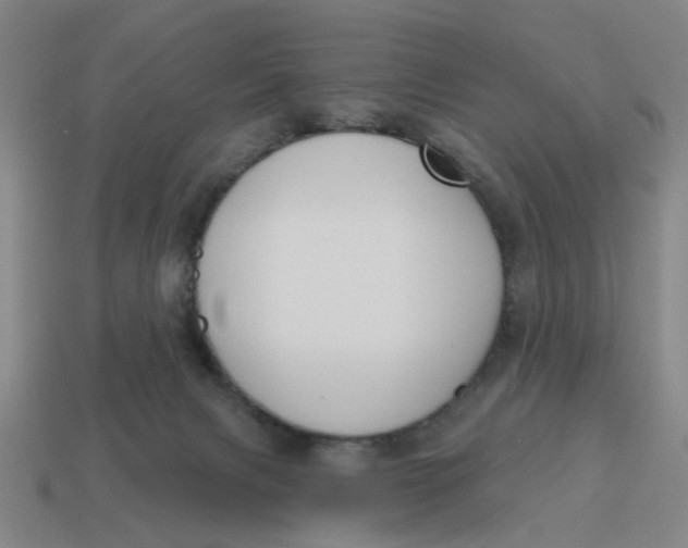 X0000114440079200911061712