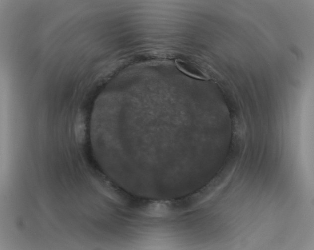 X0000114440080200911061712