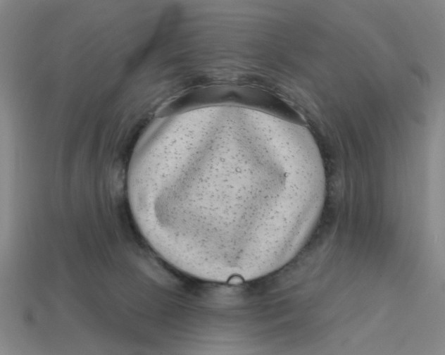 X0000114440081200911061712