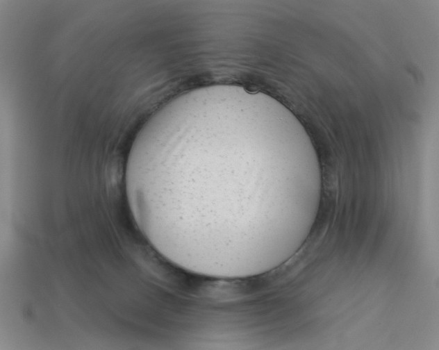 X0000114440082200911061712