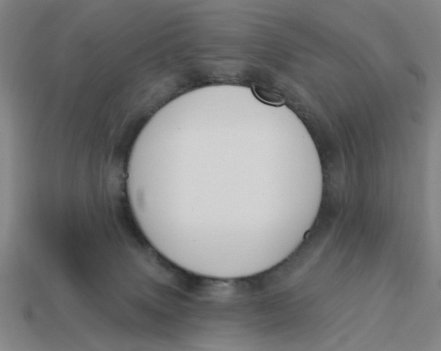 X0000114440083200911061712