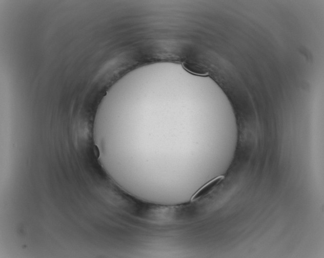 X0000114440084200911061712