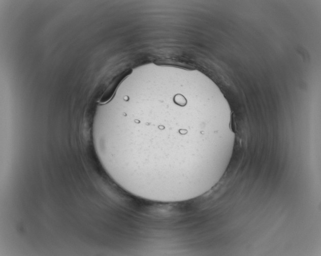 X0000114440086200911061712