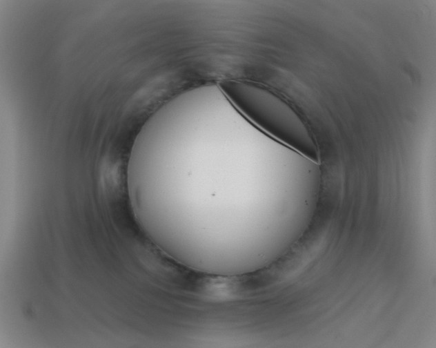 X0000114440088200911061712