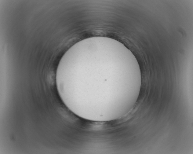 X0000114440090200911061712