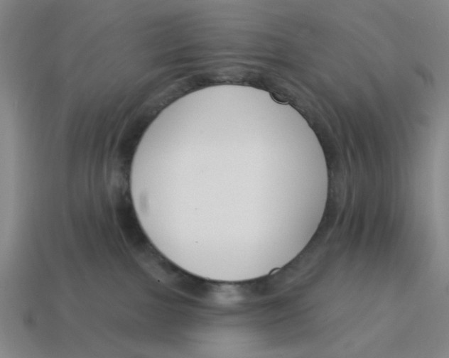 X0000114440091200911061713