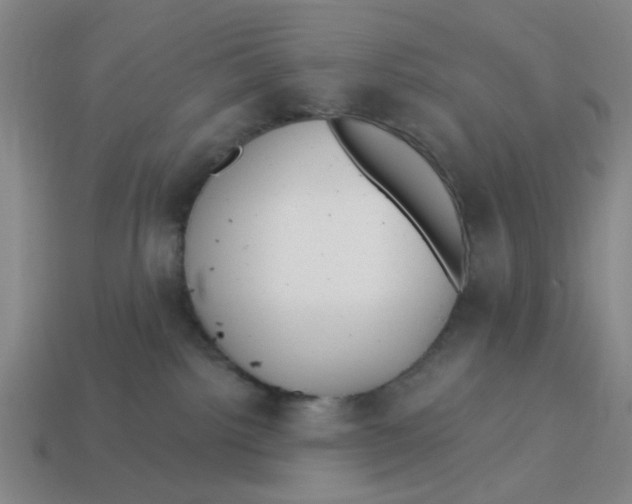 X0000114440092200911061713