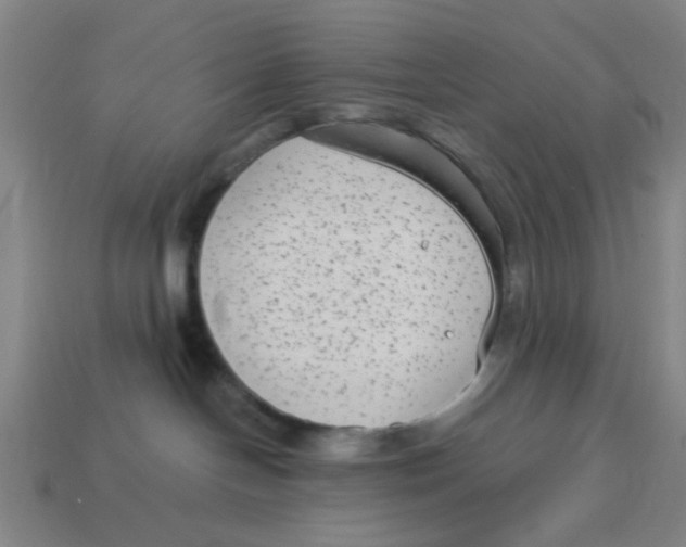 X0000114440094200911061713