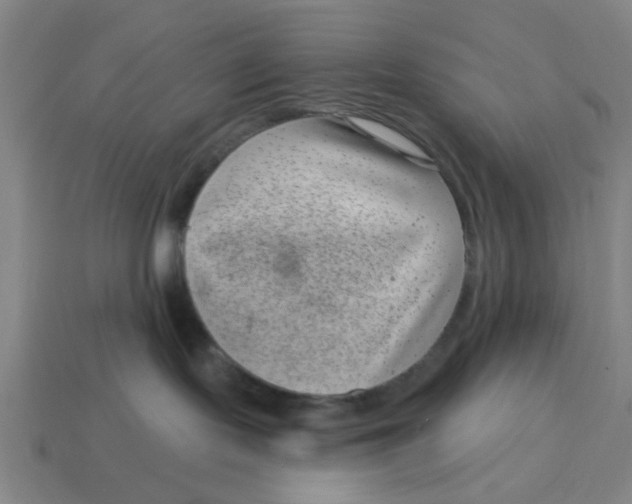 X0000114440095200911061713