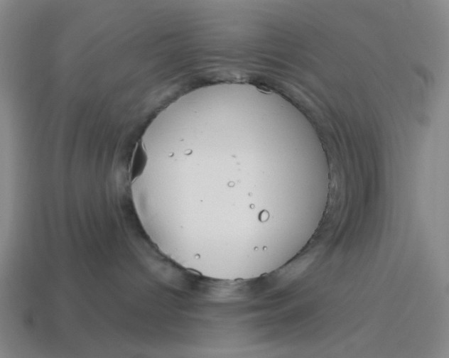 X0000114440096200911061713