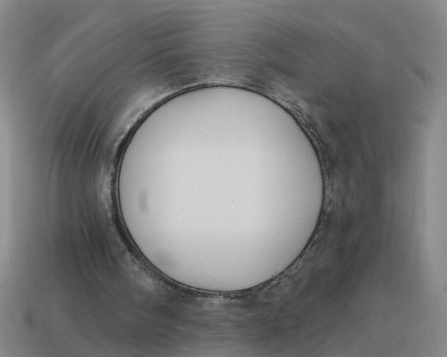 X0000114440098200911061712