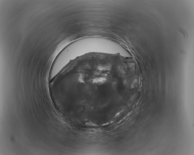 X0000114440099200911061712