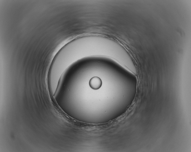 X0000114440100200911061712