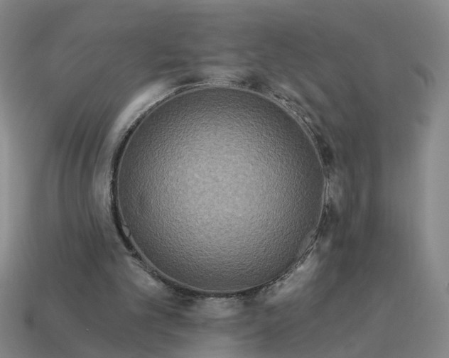 X0000114440101200911061712