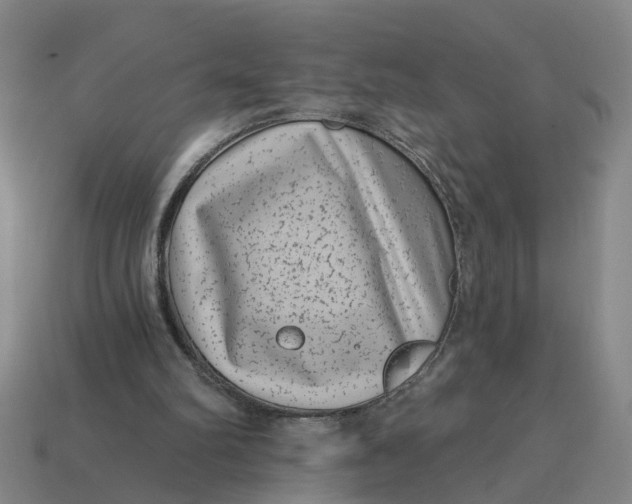 X0000114440102200911061712