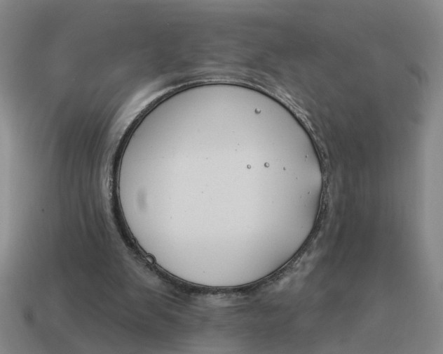 X0000114440103200911061712