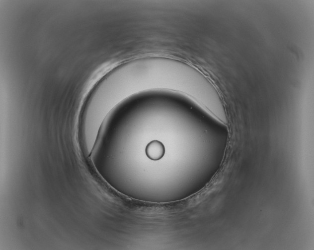 X0000114440104200911061712