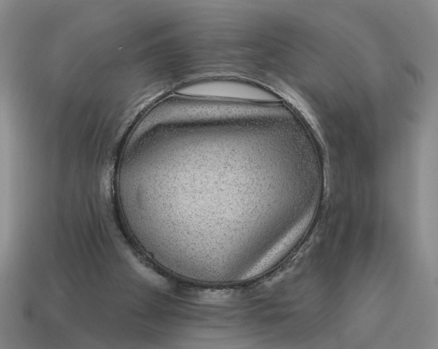 X0000114440105200911061712