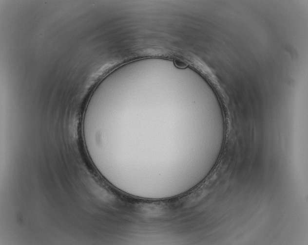 X0000114440106200911061712