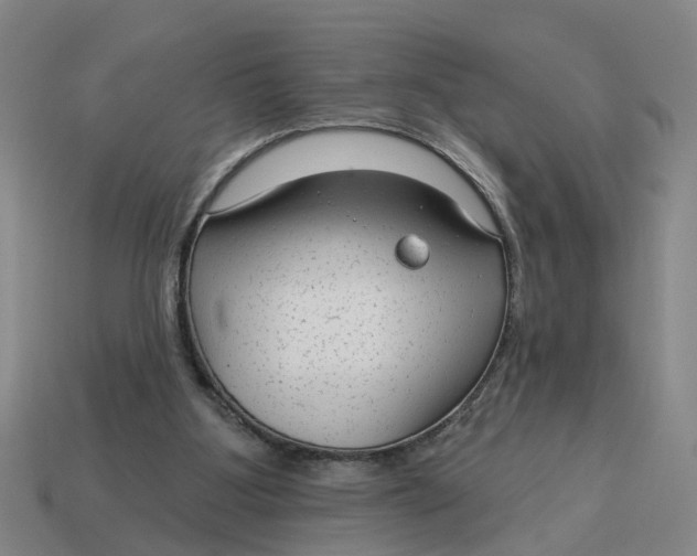 X0000114440107200911061712