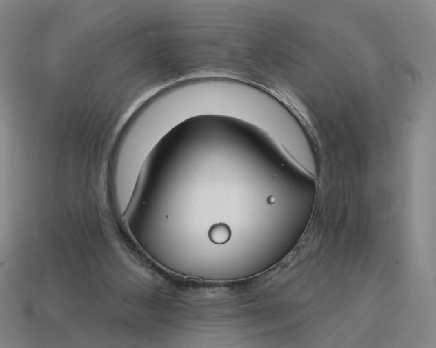 X0000114440108200911061712