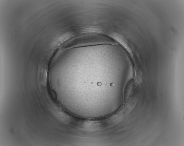 X0000114440109200911061712