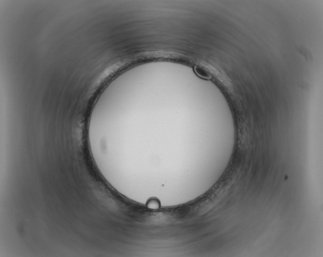 X0000114440111200911061712