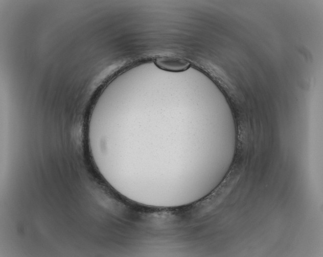 X0000114440112200911061712