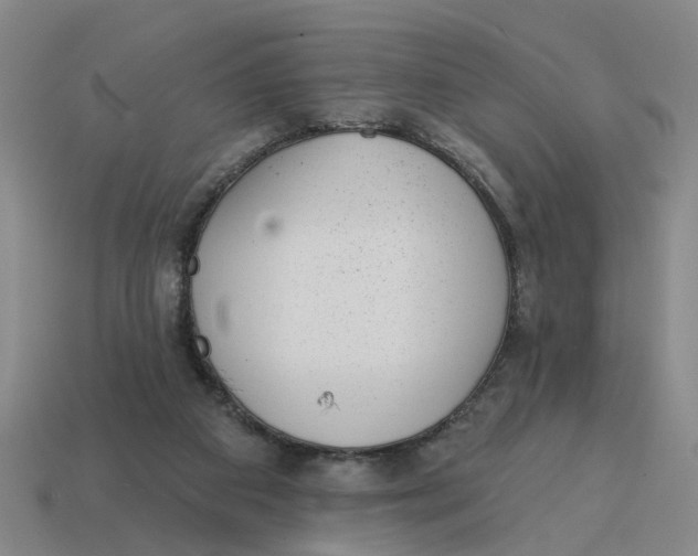 X0000114440113200911061712