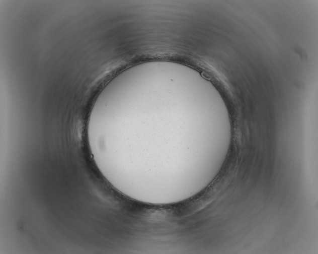 X0000114440115200911061712