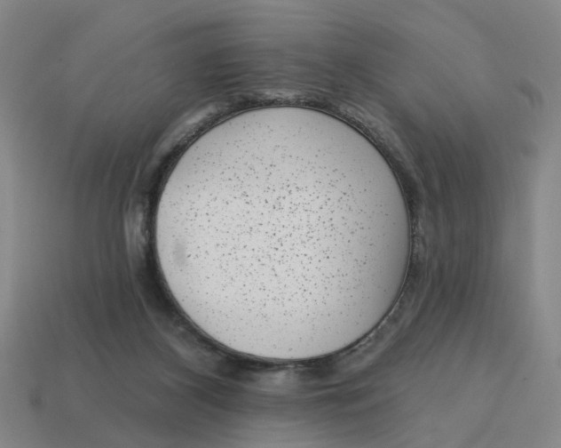 X0000114440116200911061712