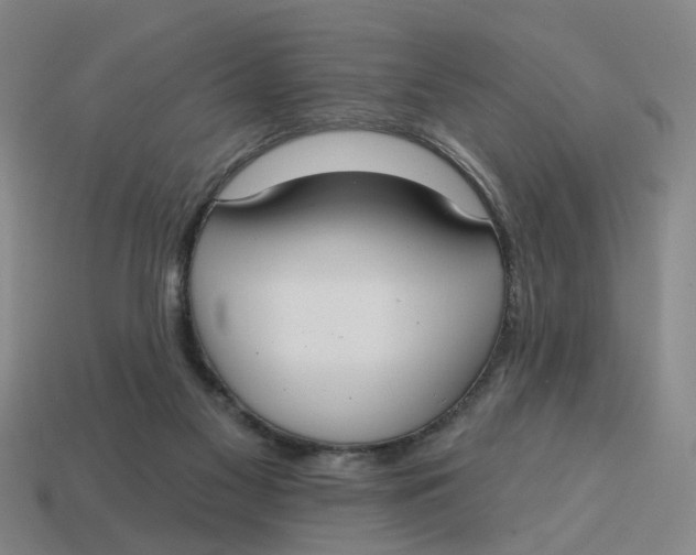 X0000114440117200911061712