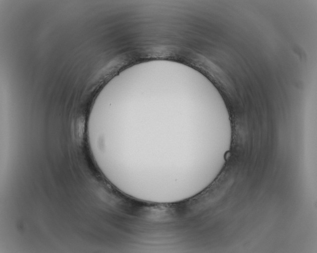 X0000114440118200911061712