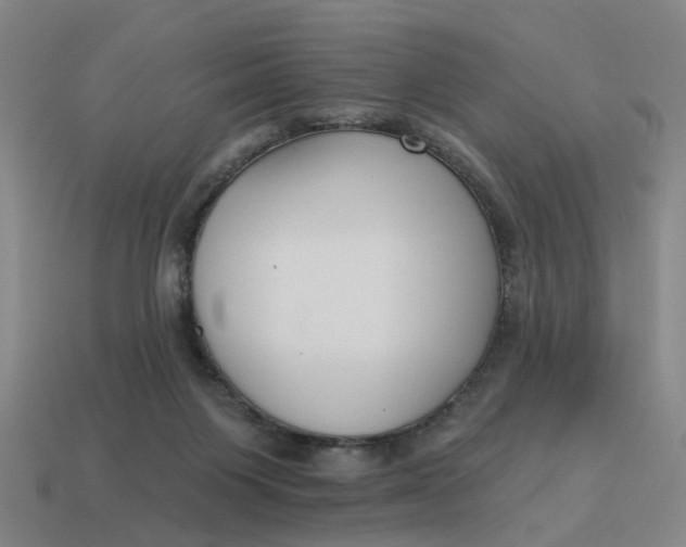 X0000114440119200911061712