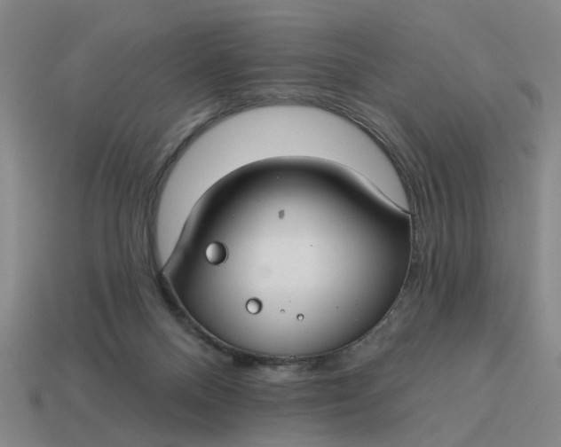 X0000114440120200911061712