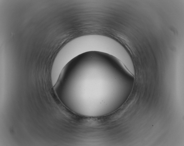 X0000114440121200911061712