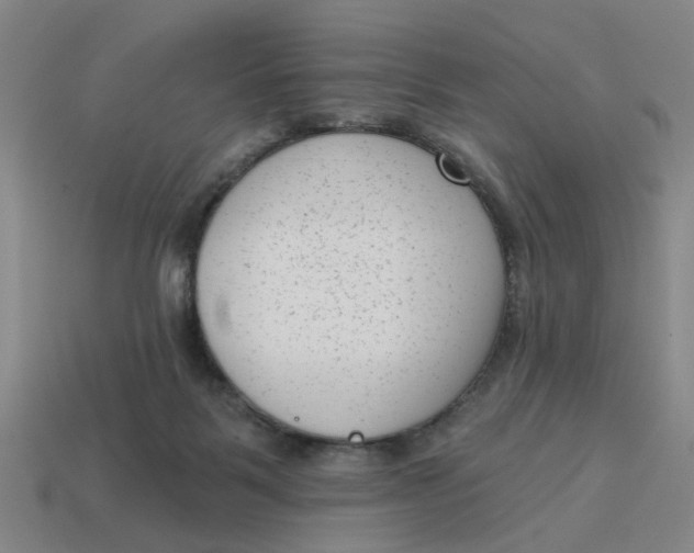 X0000114440123200911061712