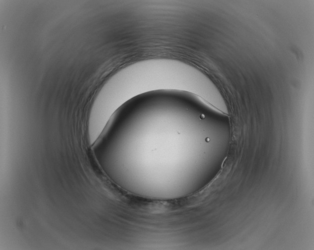 X0000114440124200911061712