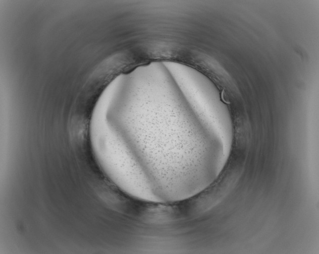 X0000114440125200911061712