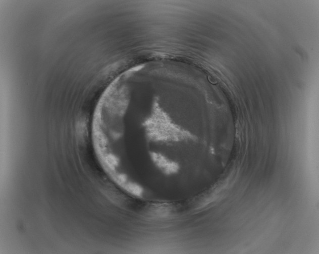 X0000114440127200911061712