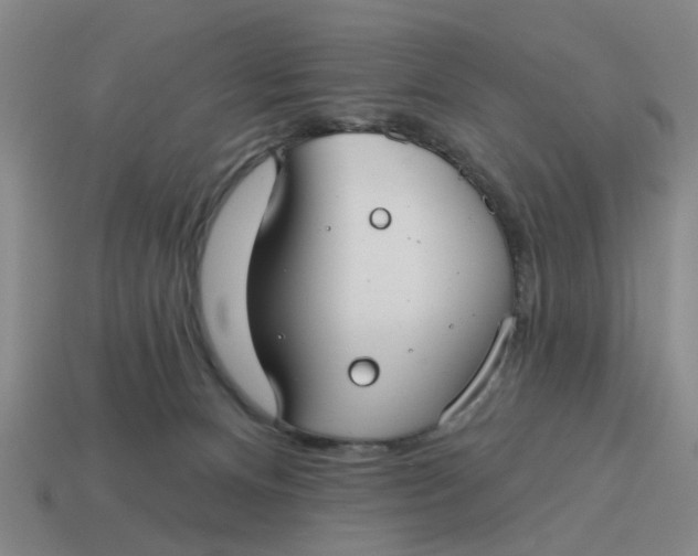 X0000114440128200911061712