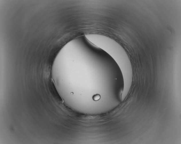 X0000114440129200911061712