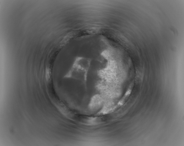 X0000114440130200911061712