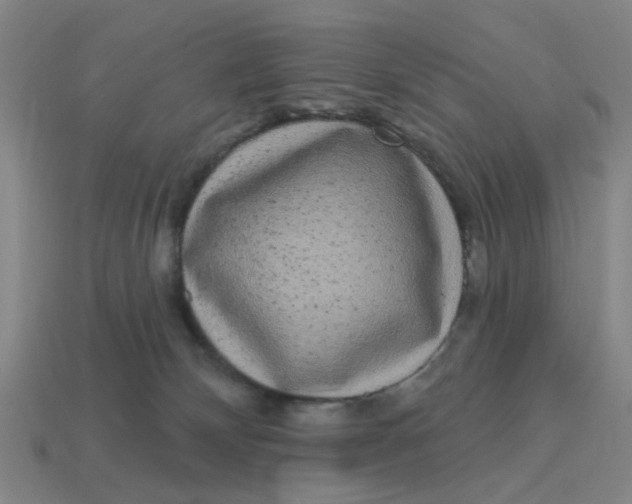 X0000114440132200911061712