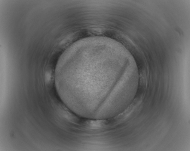 X0000114440134200911061711