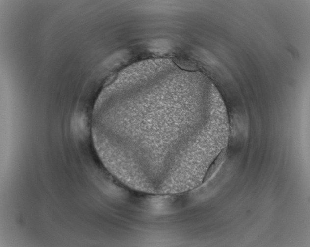 X0000114440136200911061711