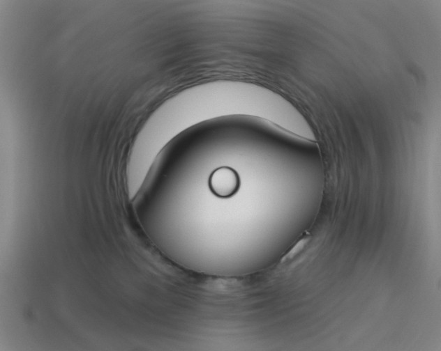 X0000114440137200911061711