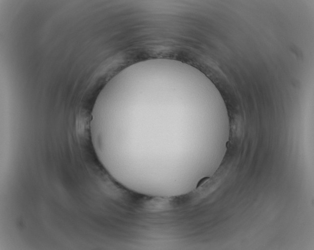 X0000114440138200911061711