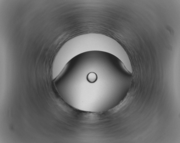 X0000114440140200911061711