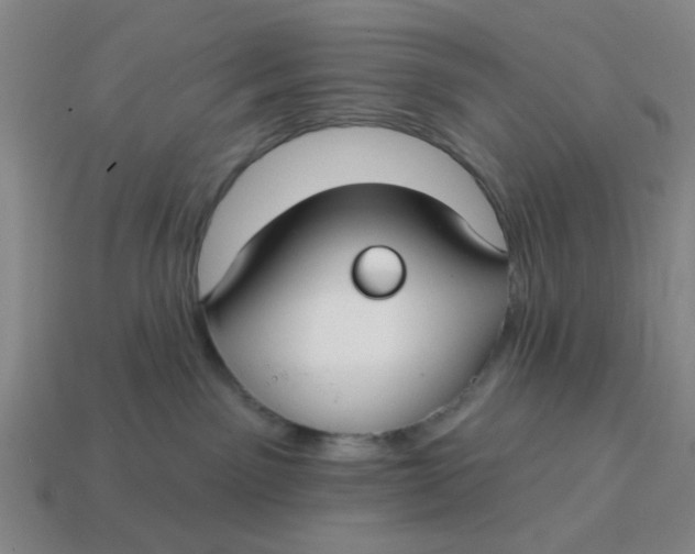 X0000114440141200911061711